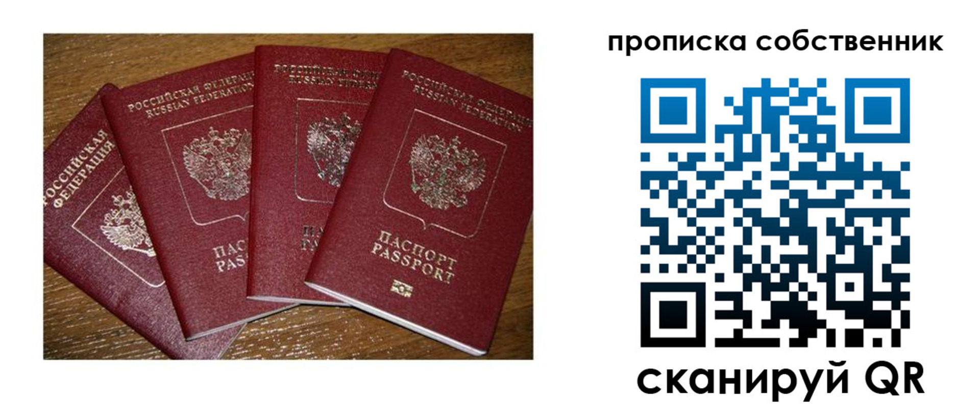 прописка поиск в Мурманской области
